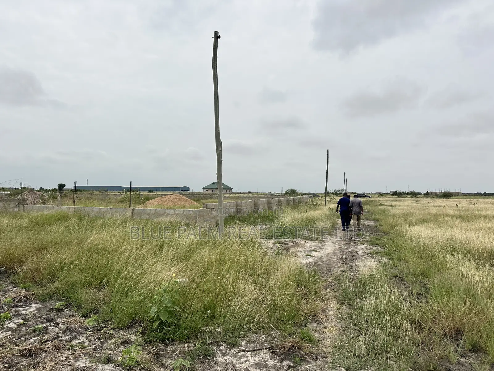 Dawhenya - Secure a Plot Here at Palm Haven Residence in New Ningo