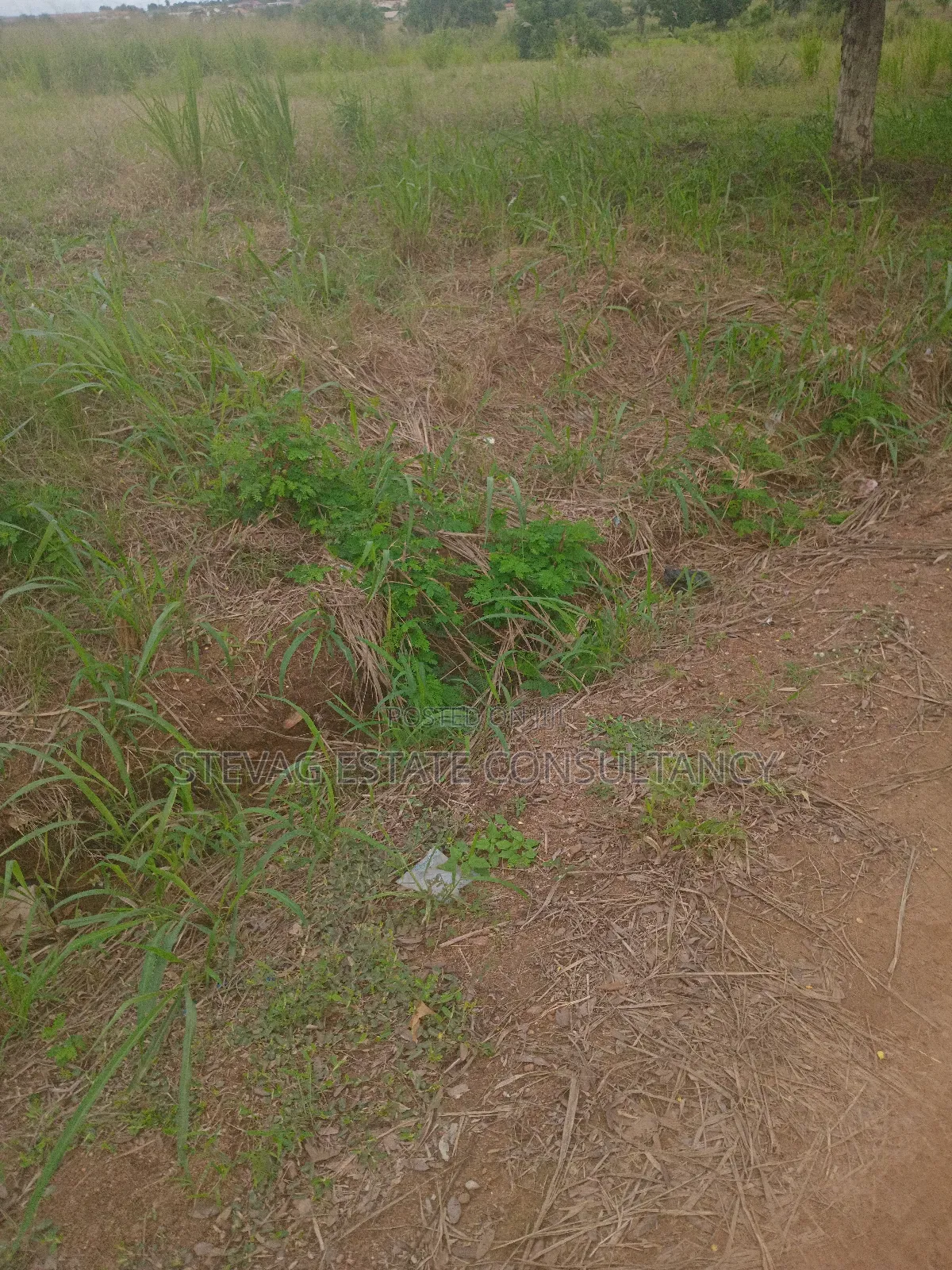 Aalpha Properties Land for Sale at Kasoa Akraman in Gomoa West