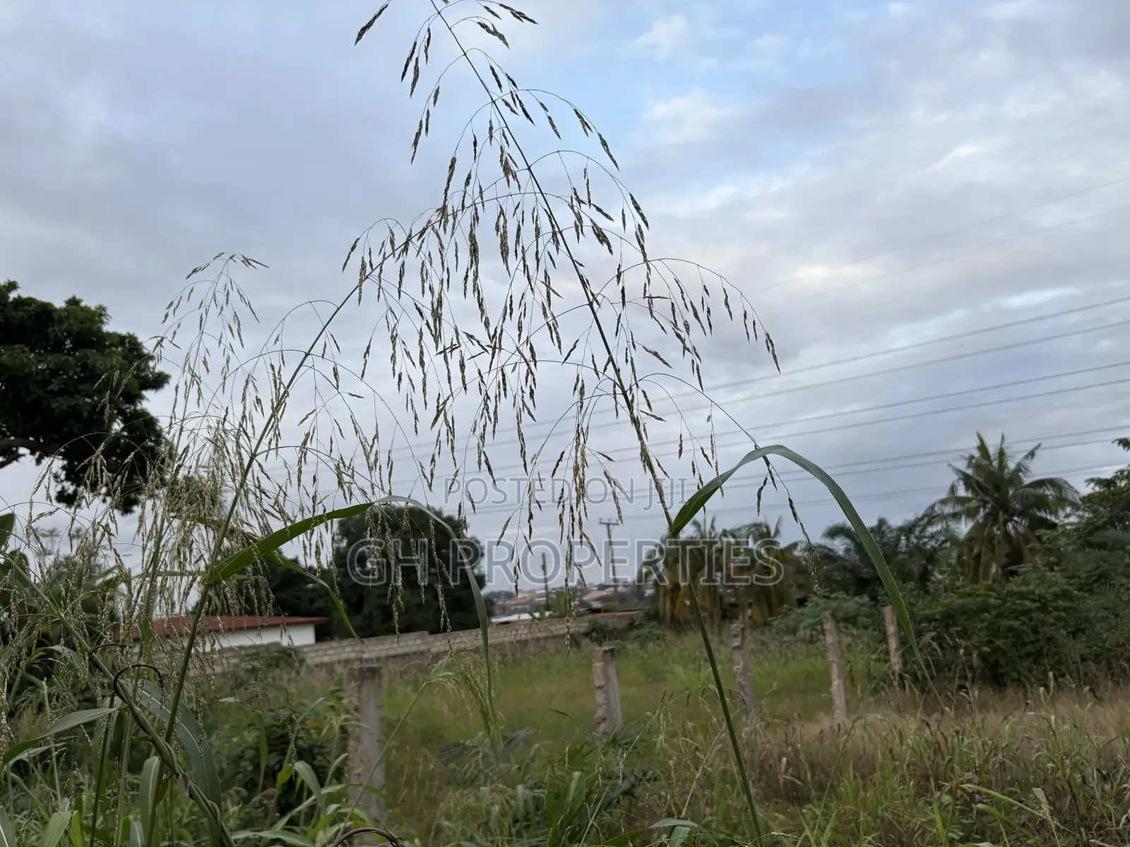 Three Plots for Sale at Ahodwo. in Kumasi Metropolitan