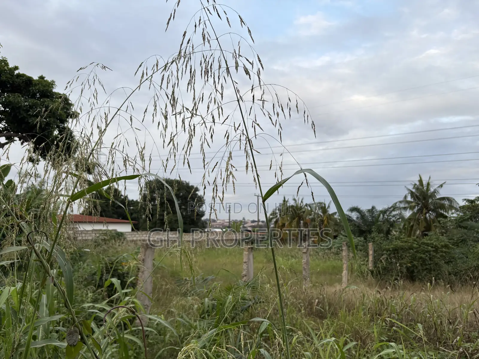 Three Plots for Sale at Ahodwo. in Kumasi Metropolitan