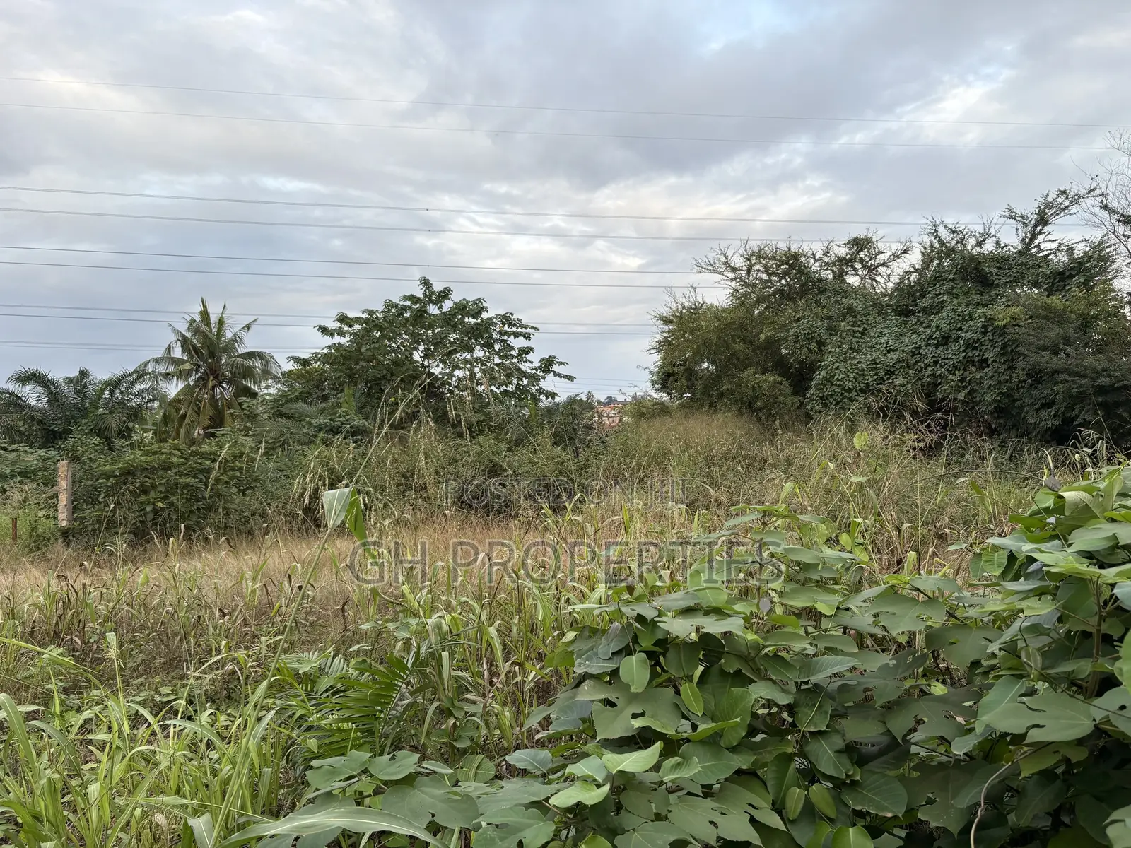 Three Plots for Sale at Ahodwo. in Kumasi Metropolitan