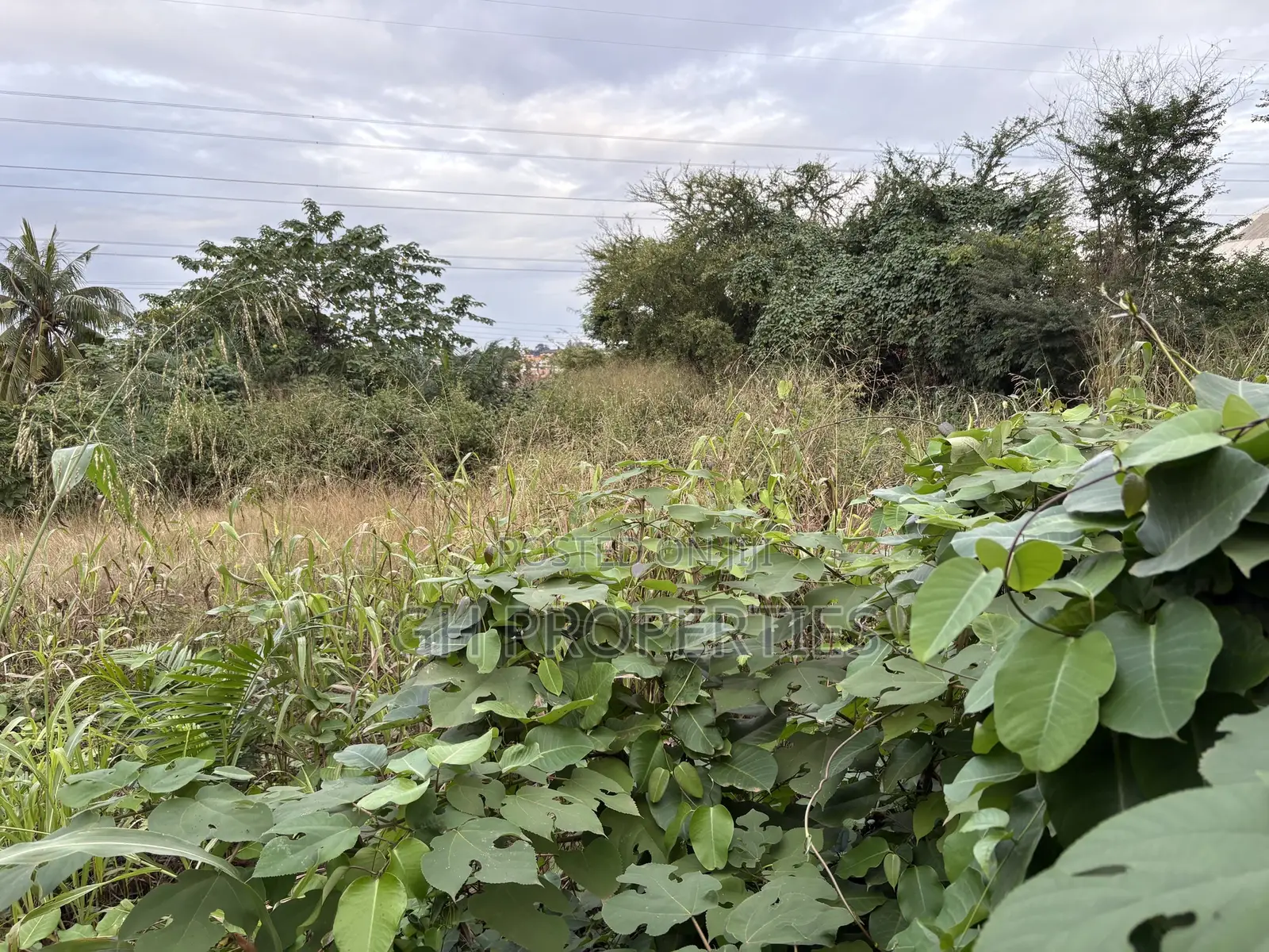 Three Plots for Sale at Ahodwo. in Kumasi Metropolitan