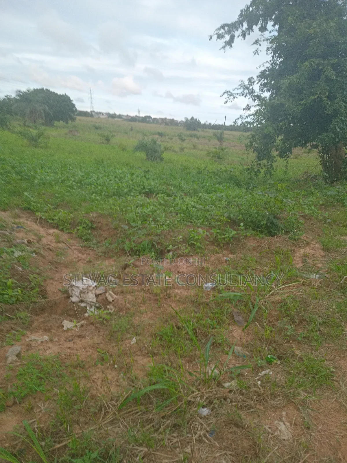 Alpha Properties Estate Land for Sale at Kasoa Akraman in Gomoa East