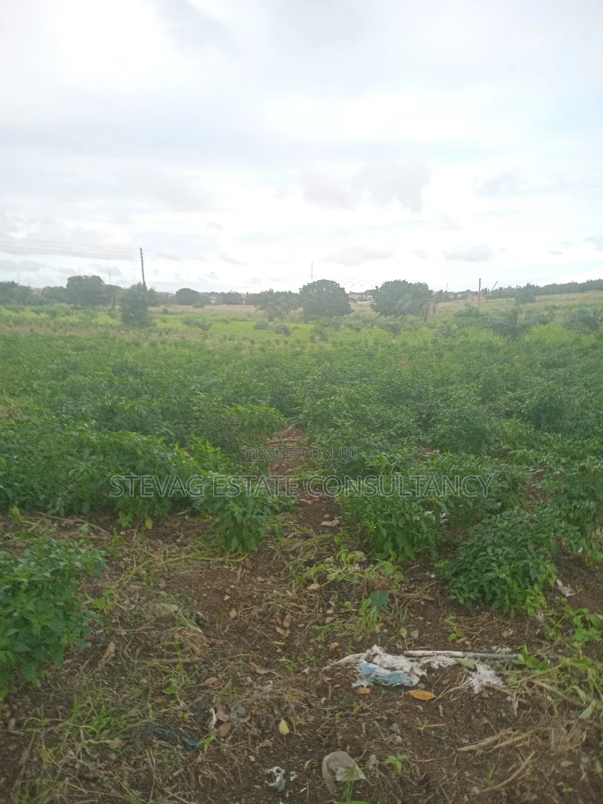 Alpha Properties Estate Land for Sale at Kasoa Akraman in Gomoa East
