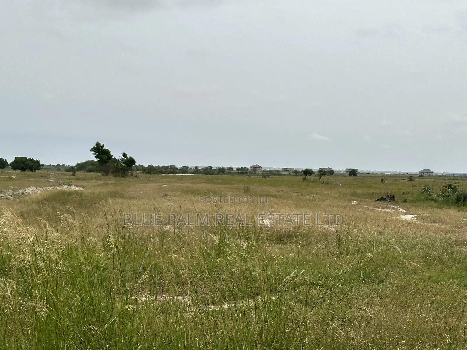 Bueko Lands for Sale – Residential, Commercial Investment Ready in Dawhenya