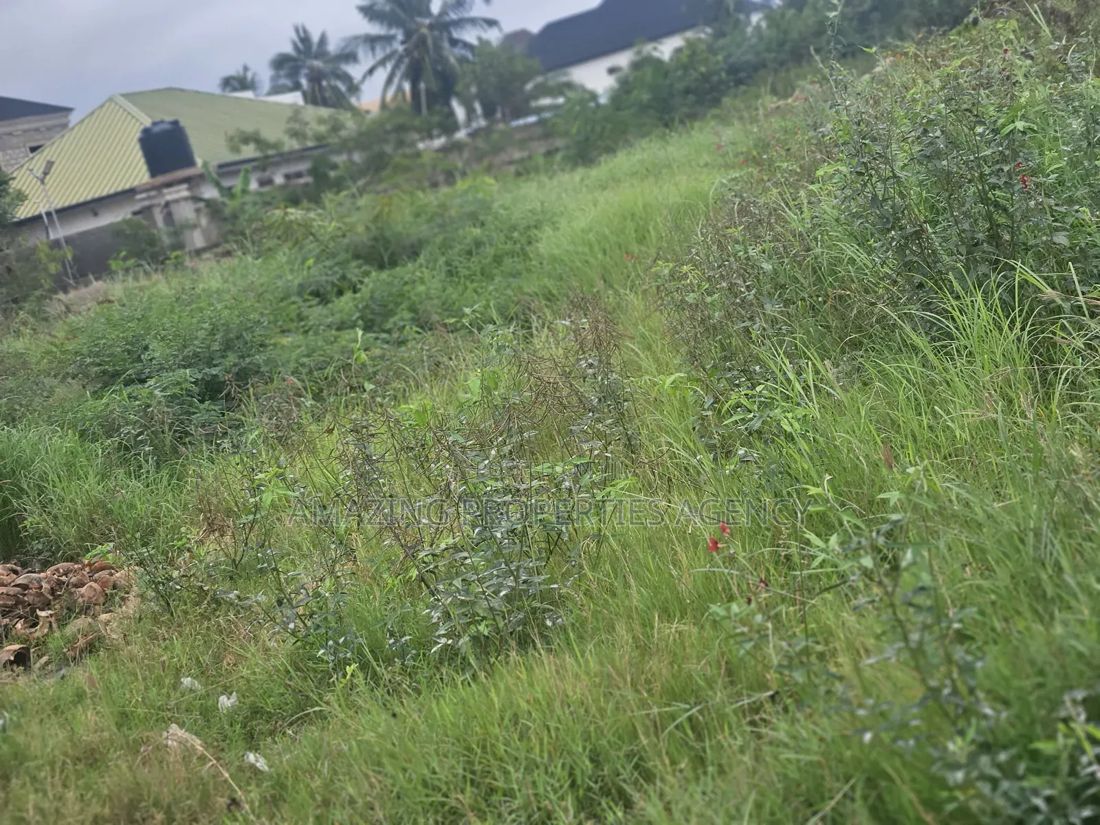 2.77acres of Bare Land Available for Sale at Haatso in Haatso