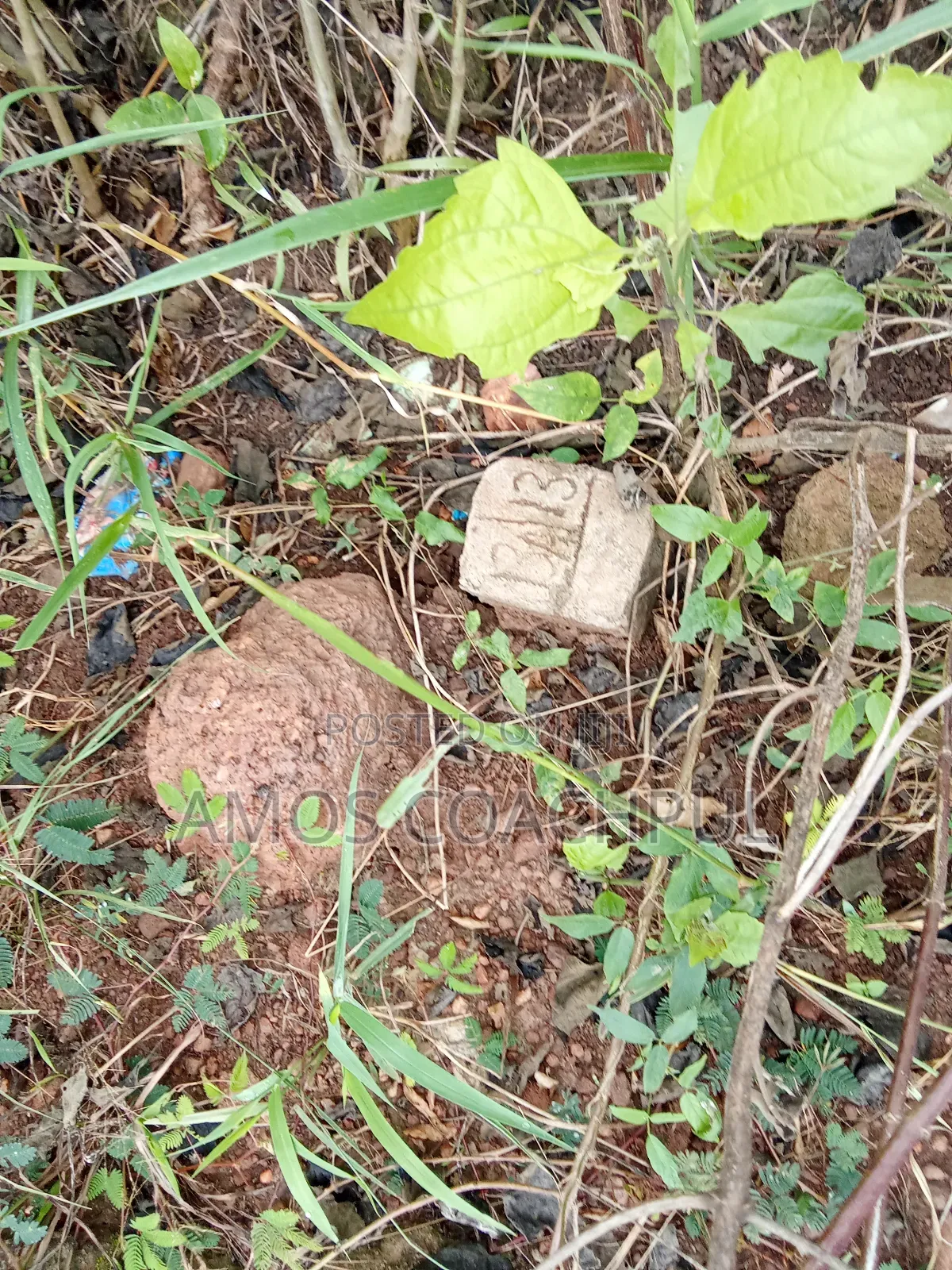 Sunyani -Yawhima Roadside Plot in Sunyani Municipal