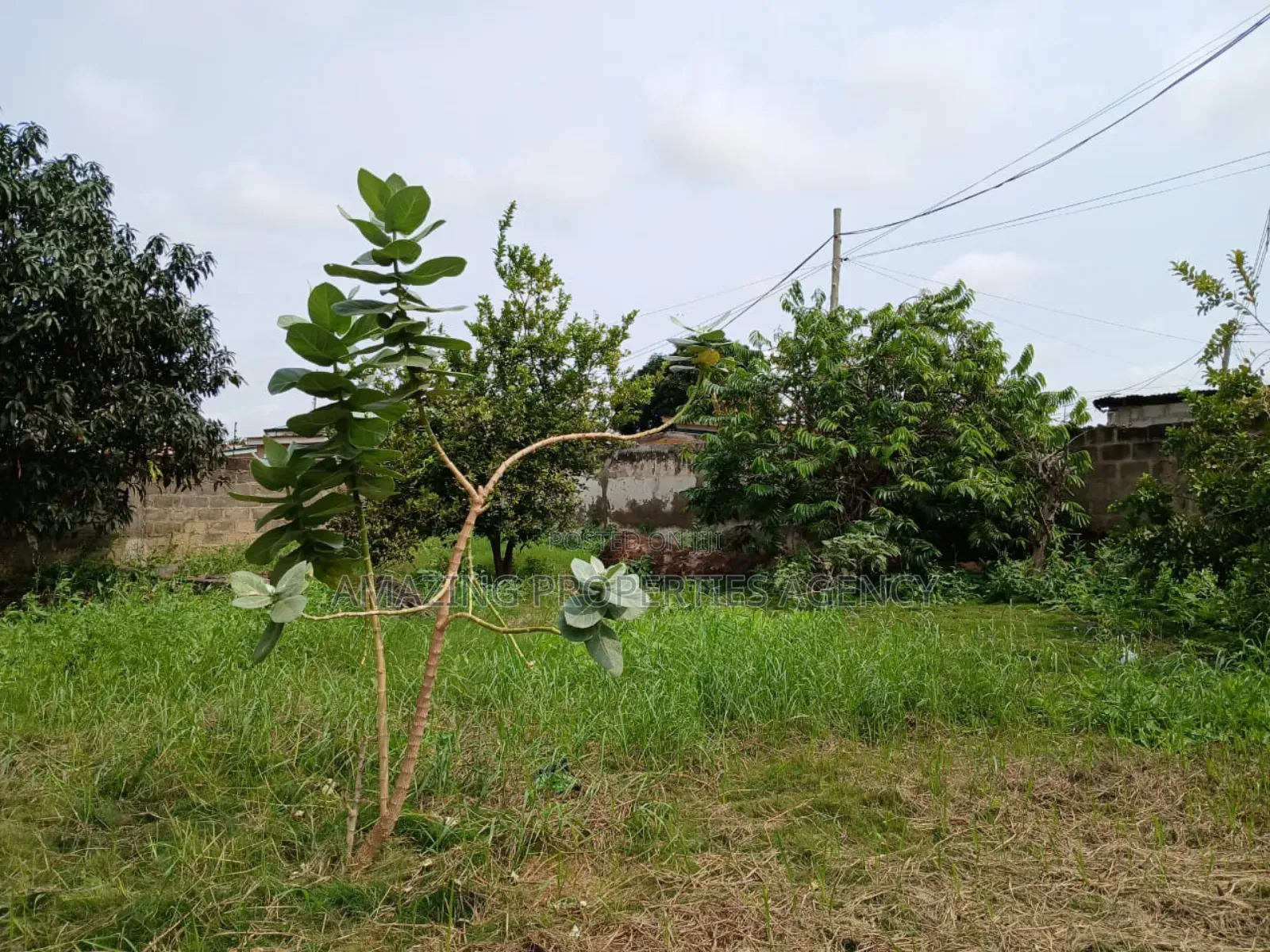 200 Acres of Land for Sale at Upsa Area in UPSA Area