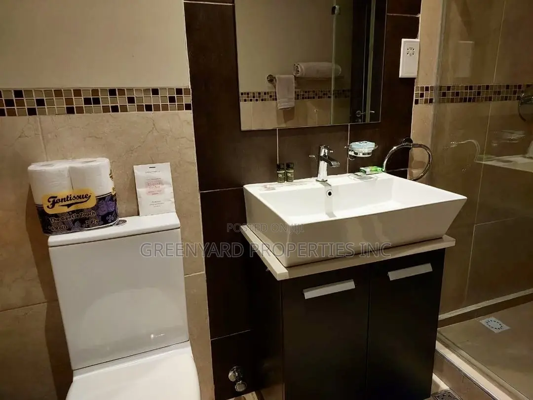 Furnished 1bdrm Apartment in Cantonments for rent in Cantonments