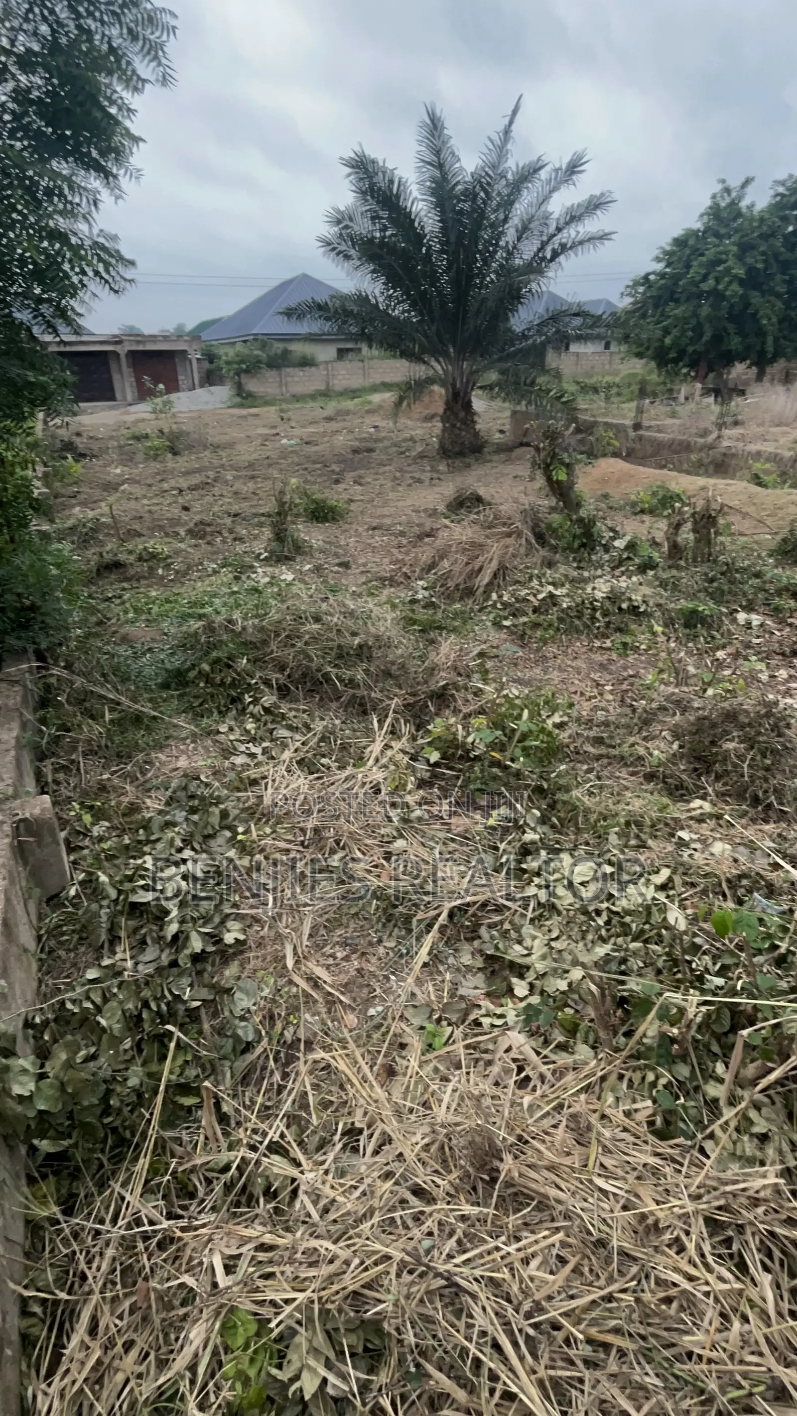 Full Plot at Alico City in Kasoa