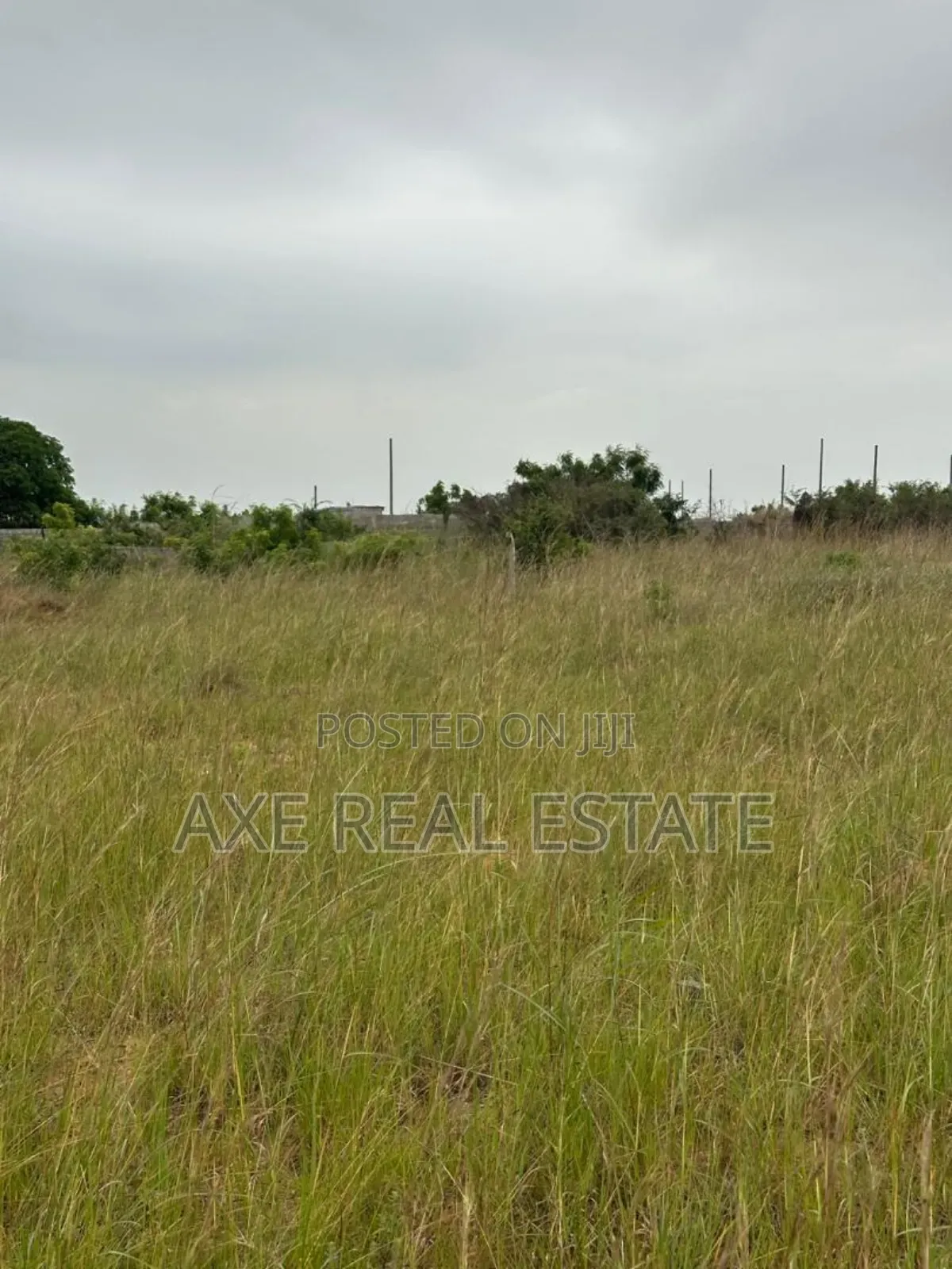 Discover Clean Registered Lands at Prampram Beach View. in Prampram