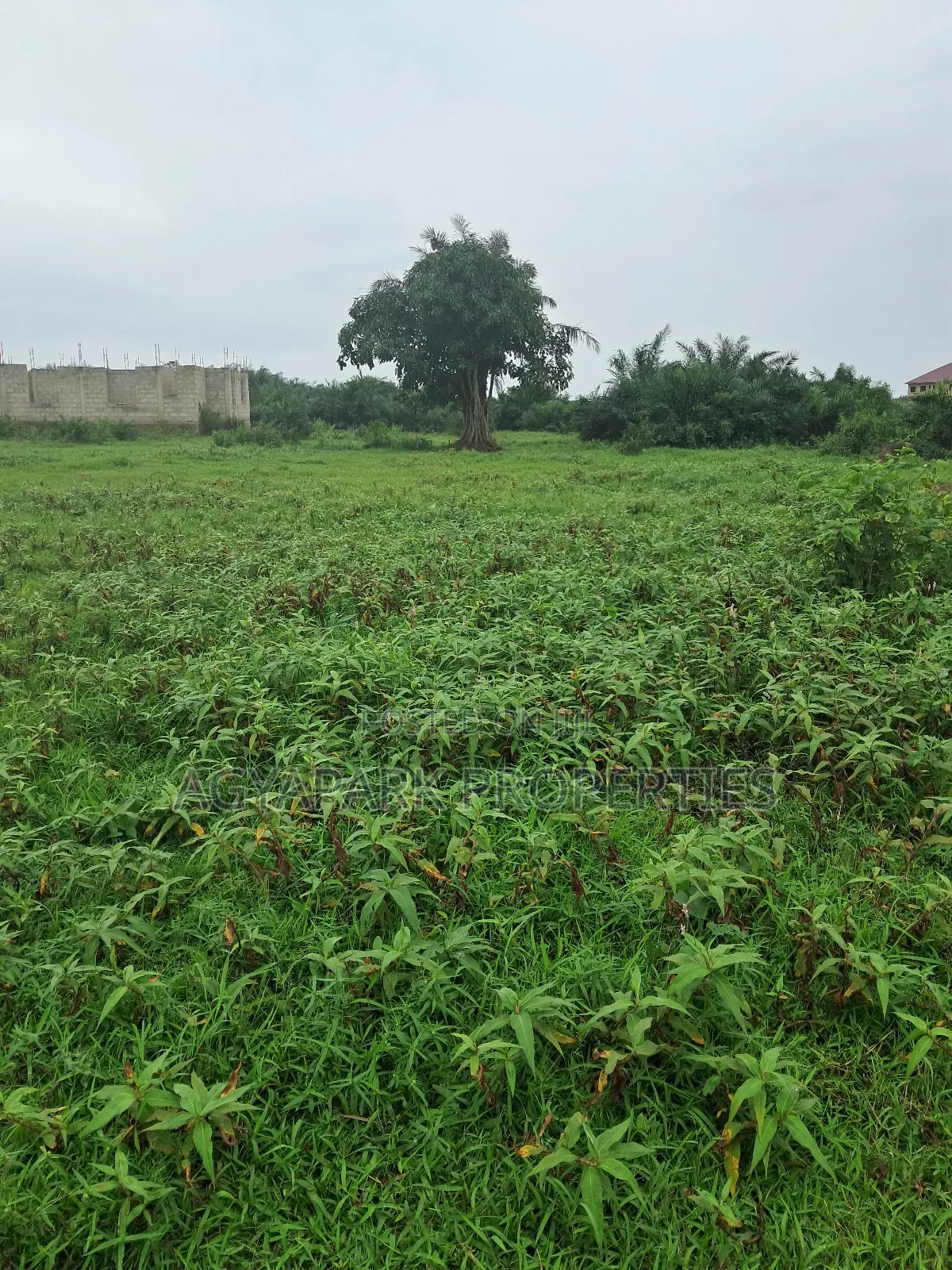 Half Plot of Land for Sale in Amasaman