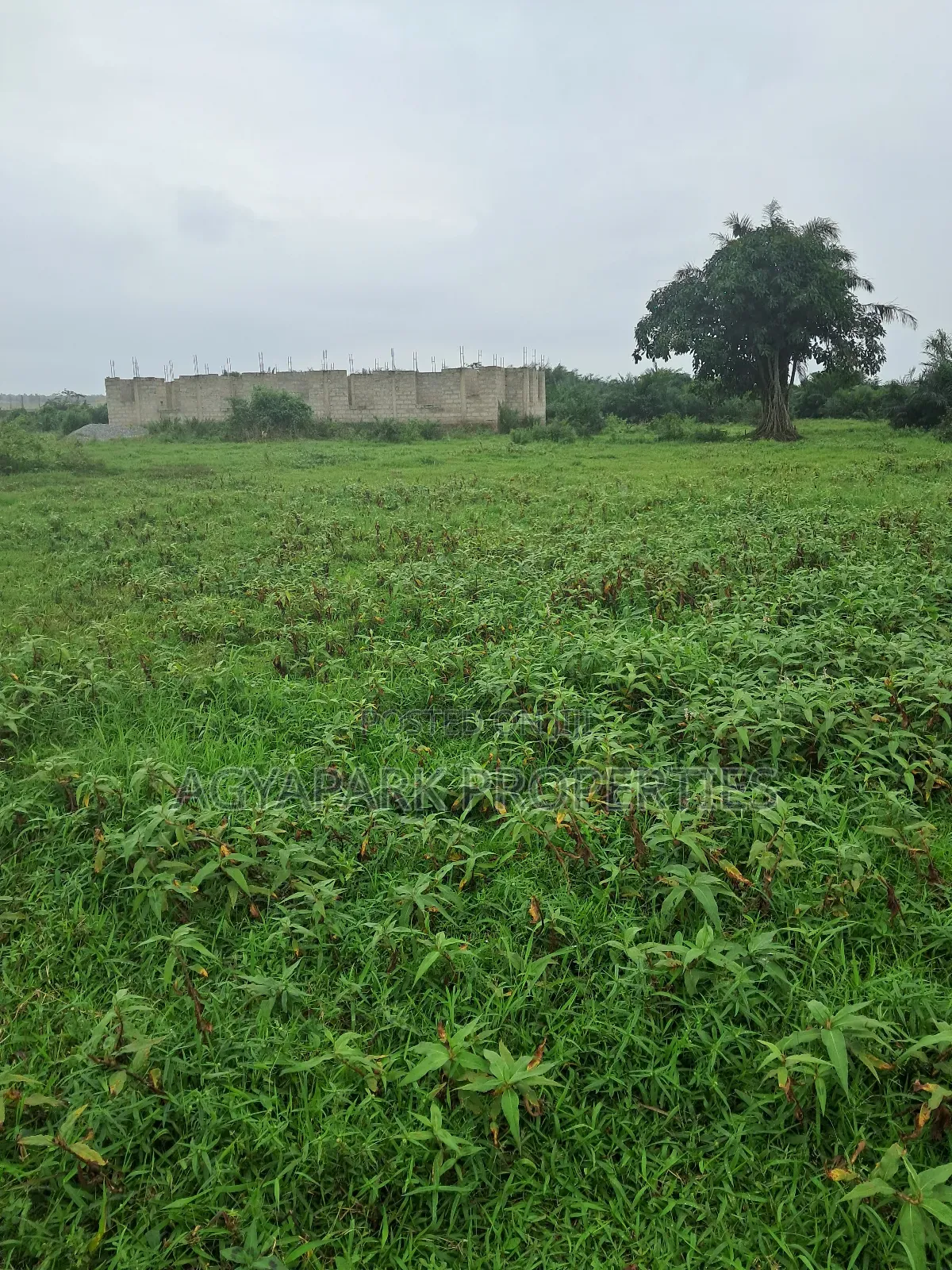Half Plot of Land for Sale in Amasaman