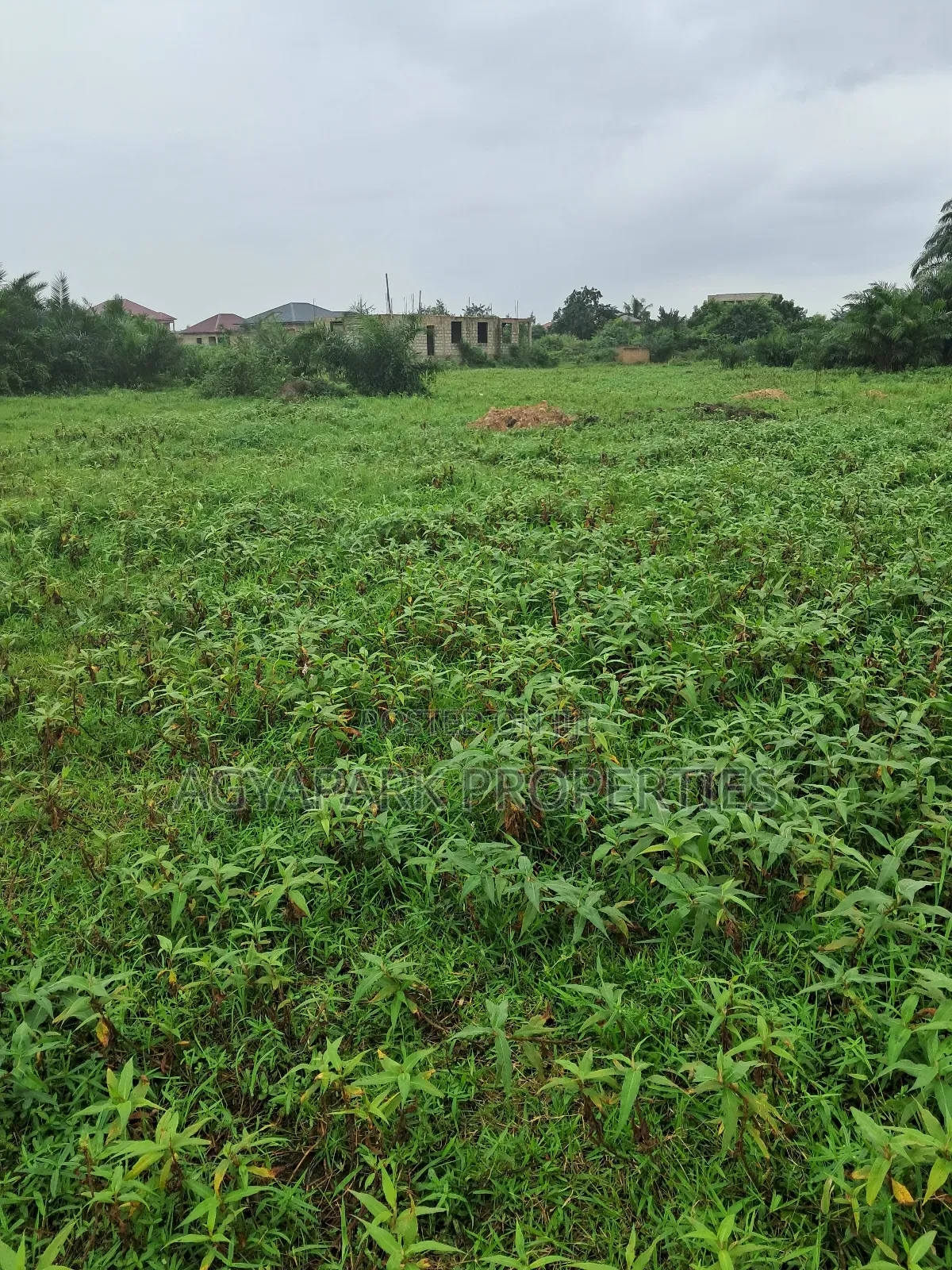Half Plot of Land for Sale in Amasaman