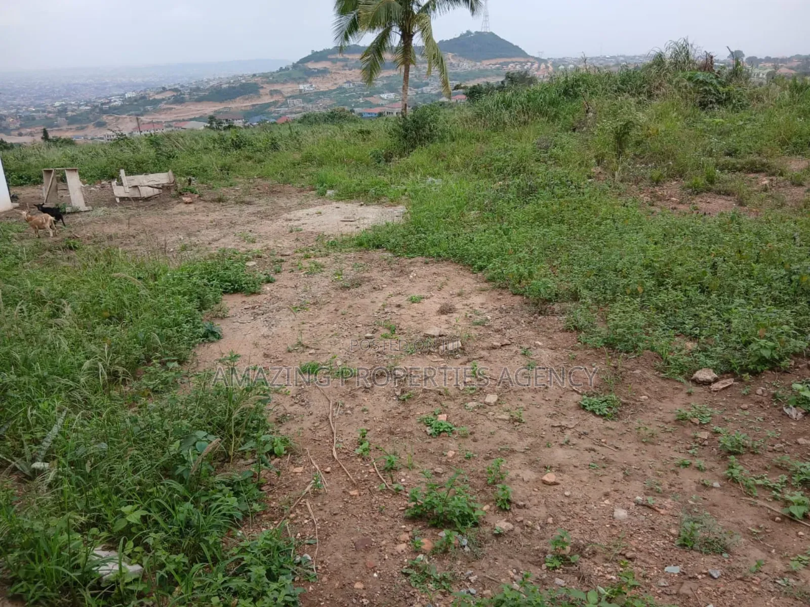 6 Acres of Land for Sale at Kwabenya North in Kwabenya