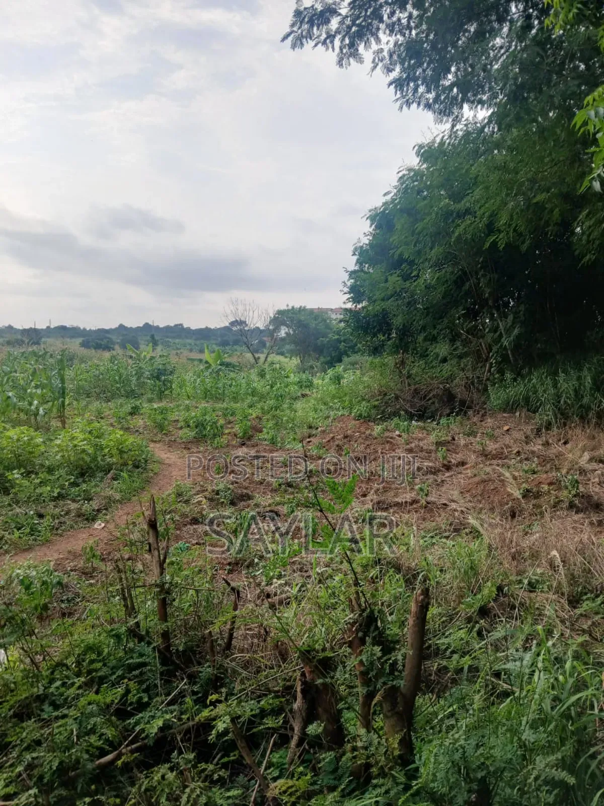 2 Plots for Sale Comm3 Behind Bni TDC Verified Documents in Tema Metropolitan