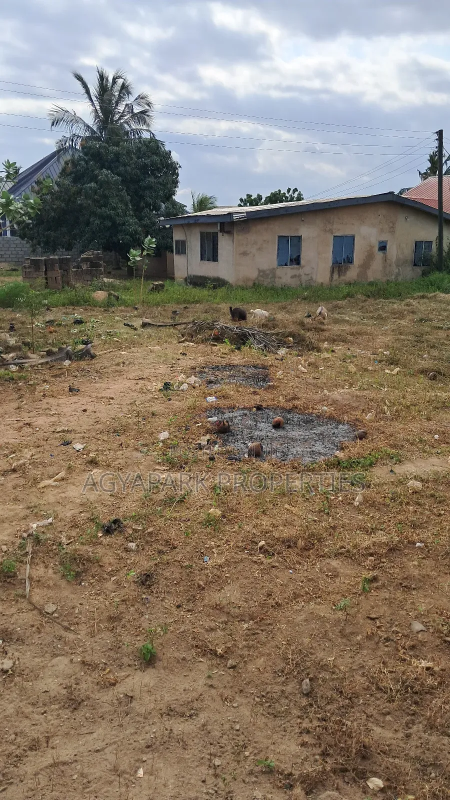 Title Land for Sale in Olebu