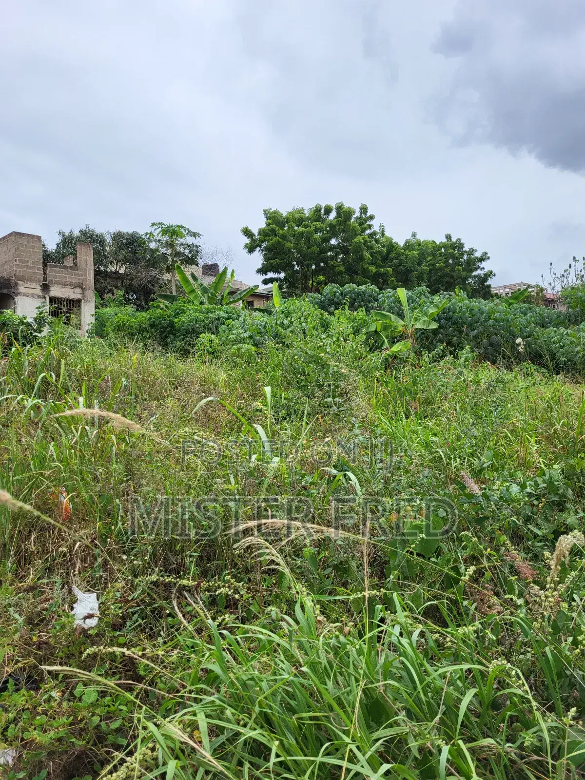 Land for Sale at Broadcasting in Weija