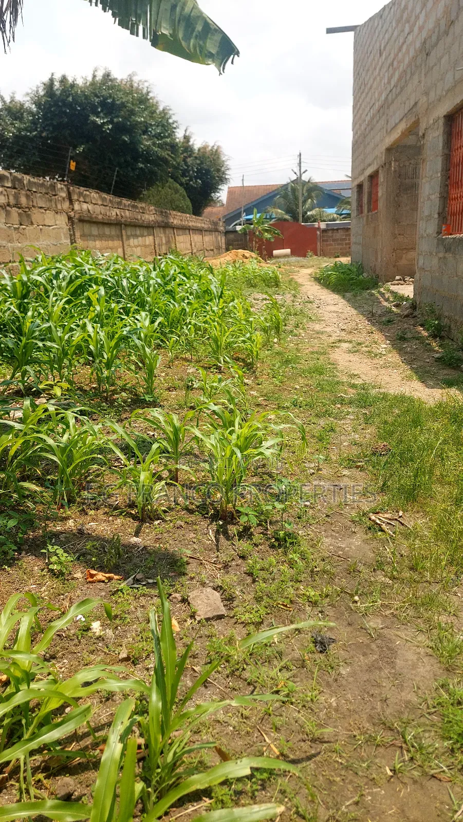 Half Plot of Land for Sale at Spintex in Spintex