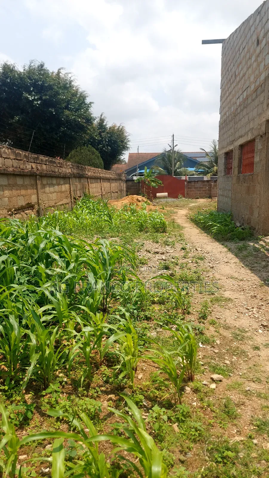 Half Plot of Land for Sale at Spintex in Spintex