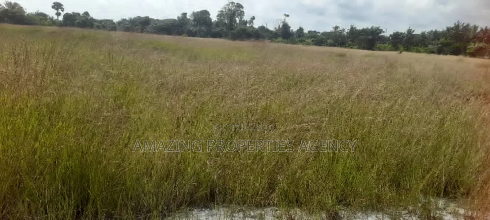 Over 2000 Acres of Land for Sale in Dawa in Tema Metropolitan