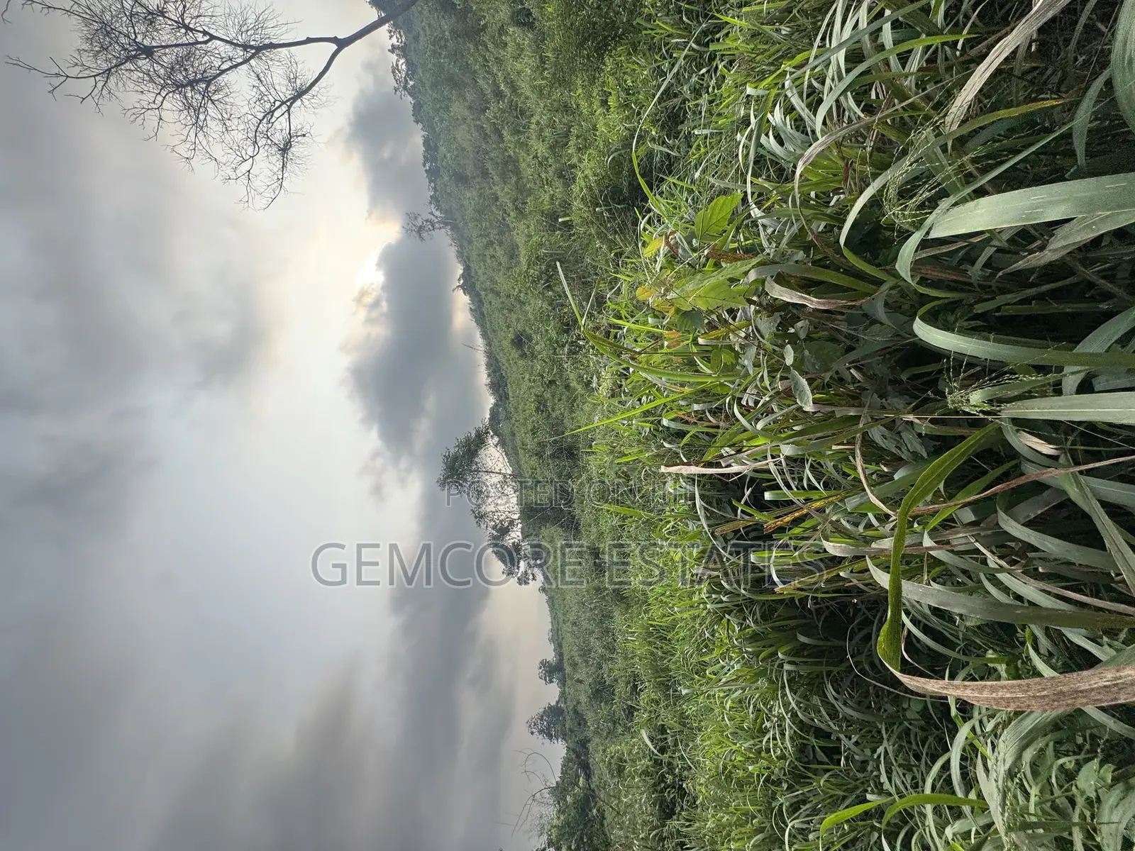 Land for Sale in Aburi
