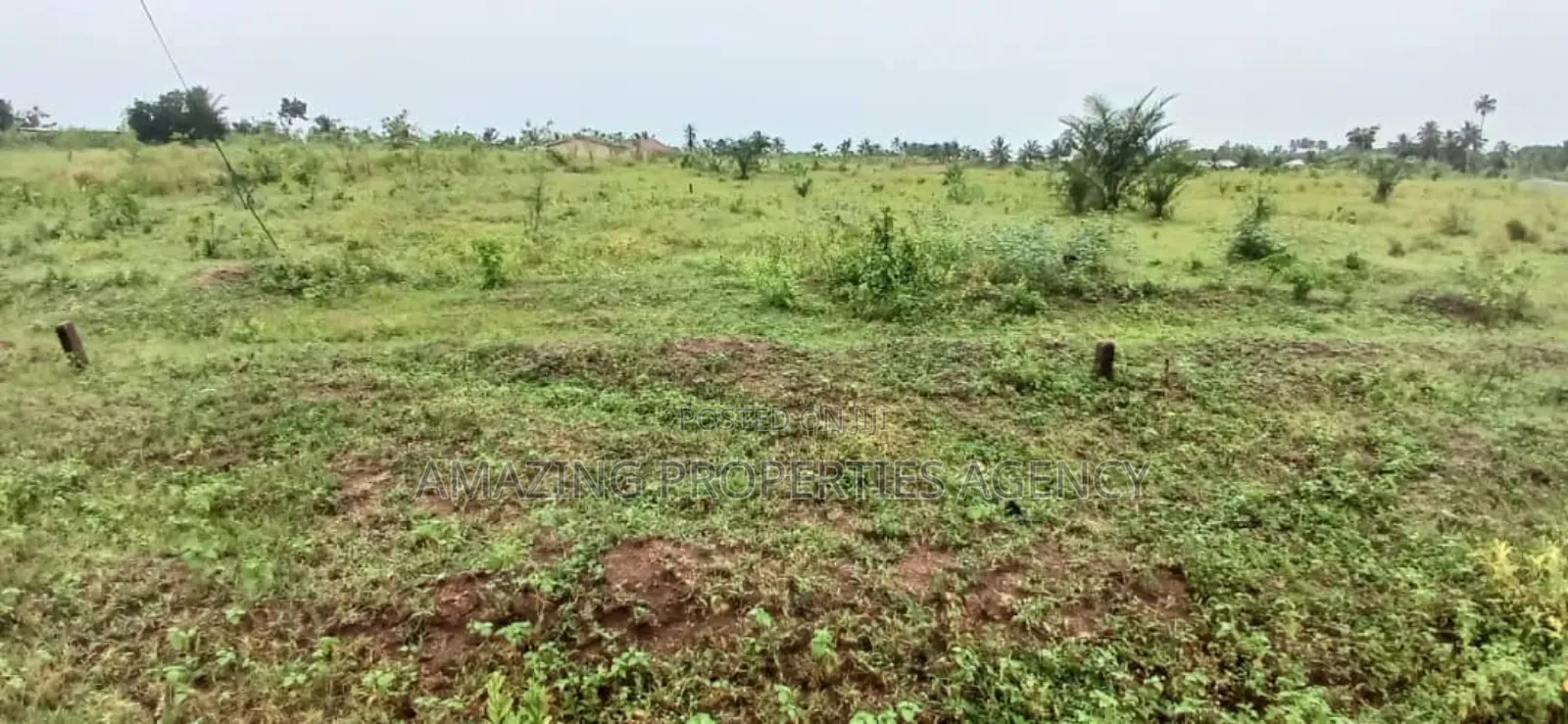 12 Acre's of Land at Tema Free Zone Price Per Acre $ in Tema Metropolitan