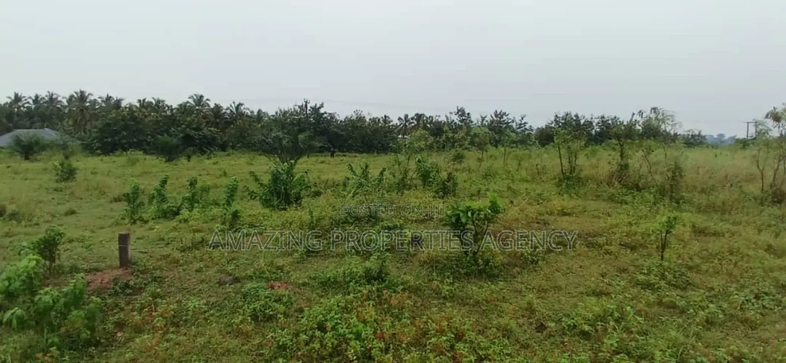 12 Acre's of Land at Tema Free Zone Price Per Acre $ in Tema Metropolitan