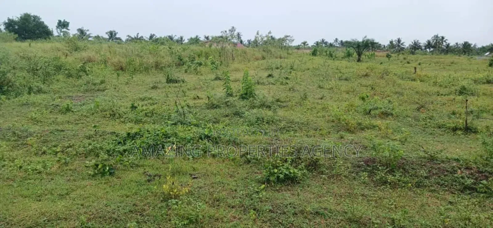 Land for Sale 8 Acre's of Land at Tema Free Zone Enclave* in Tema Metropolitan