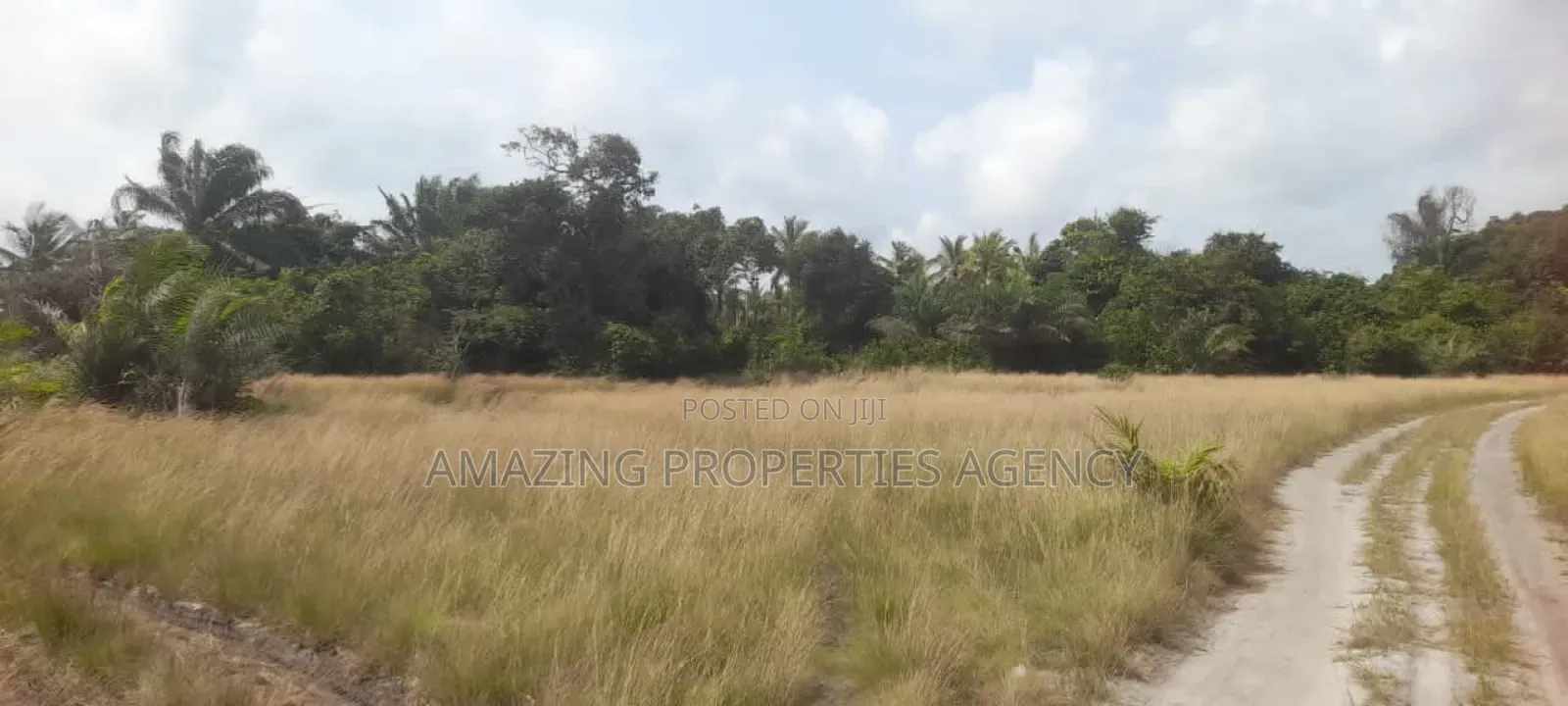 15 Acres of Land at Prampram Road. The Land in Dawhenya