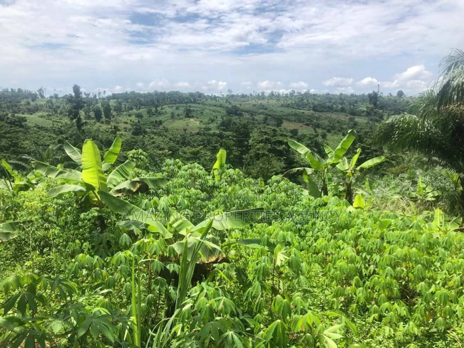 2000 Acres of Land for Sale at Baweleshie in Tema Metropolitan