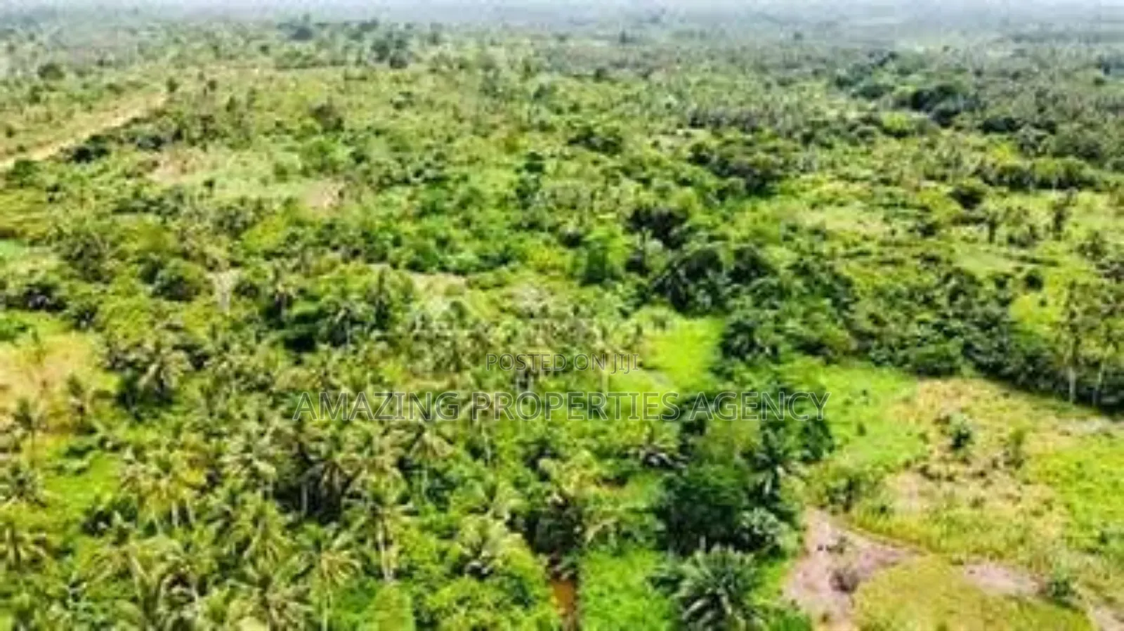 2000 Acres of Land for Sale at Baweleshie in Tema Metropolitan