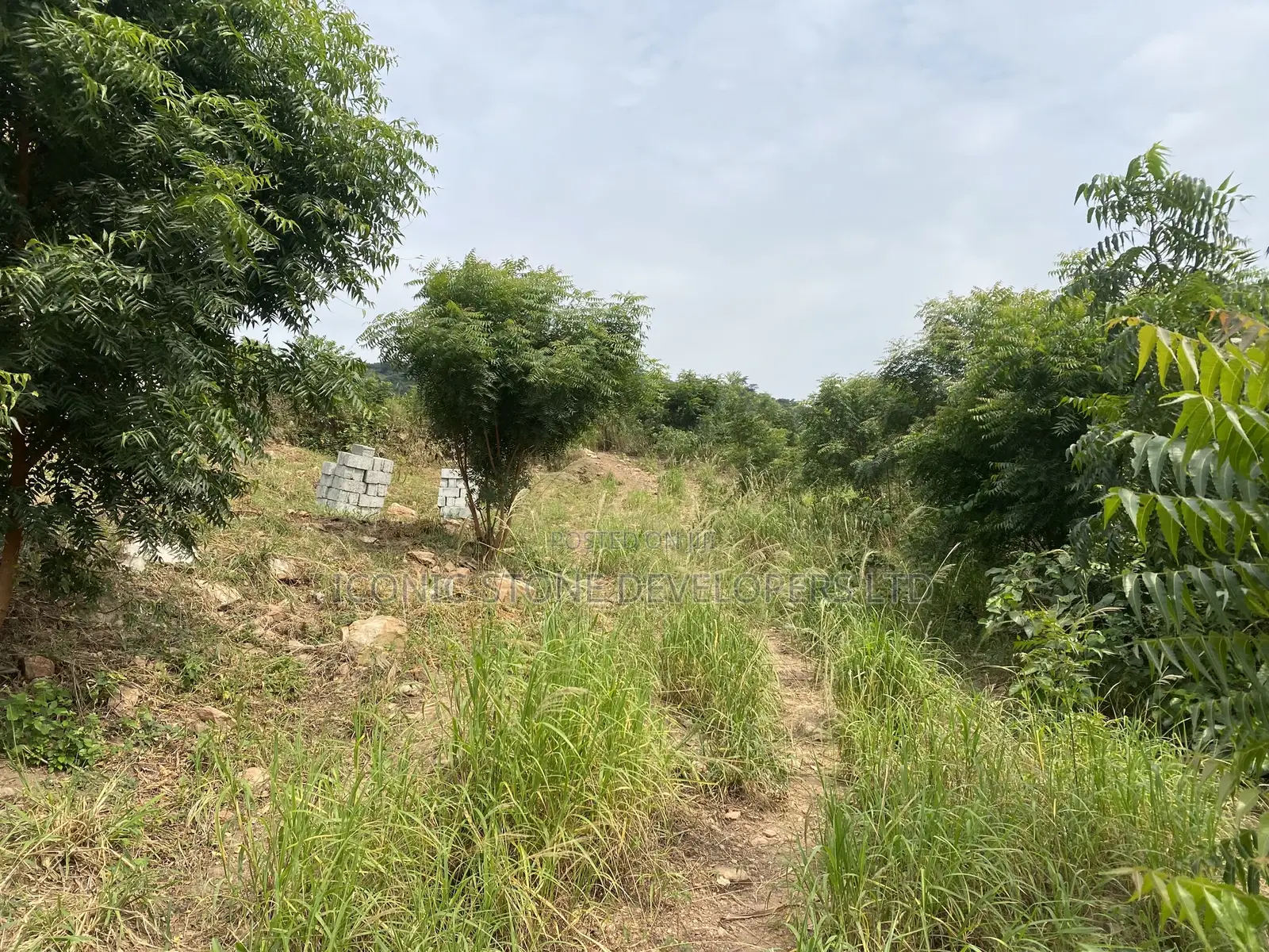 Hill-Top Land at Dodowa for Sale in Police Station
