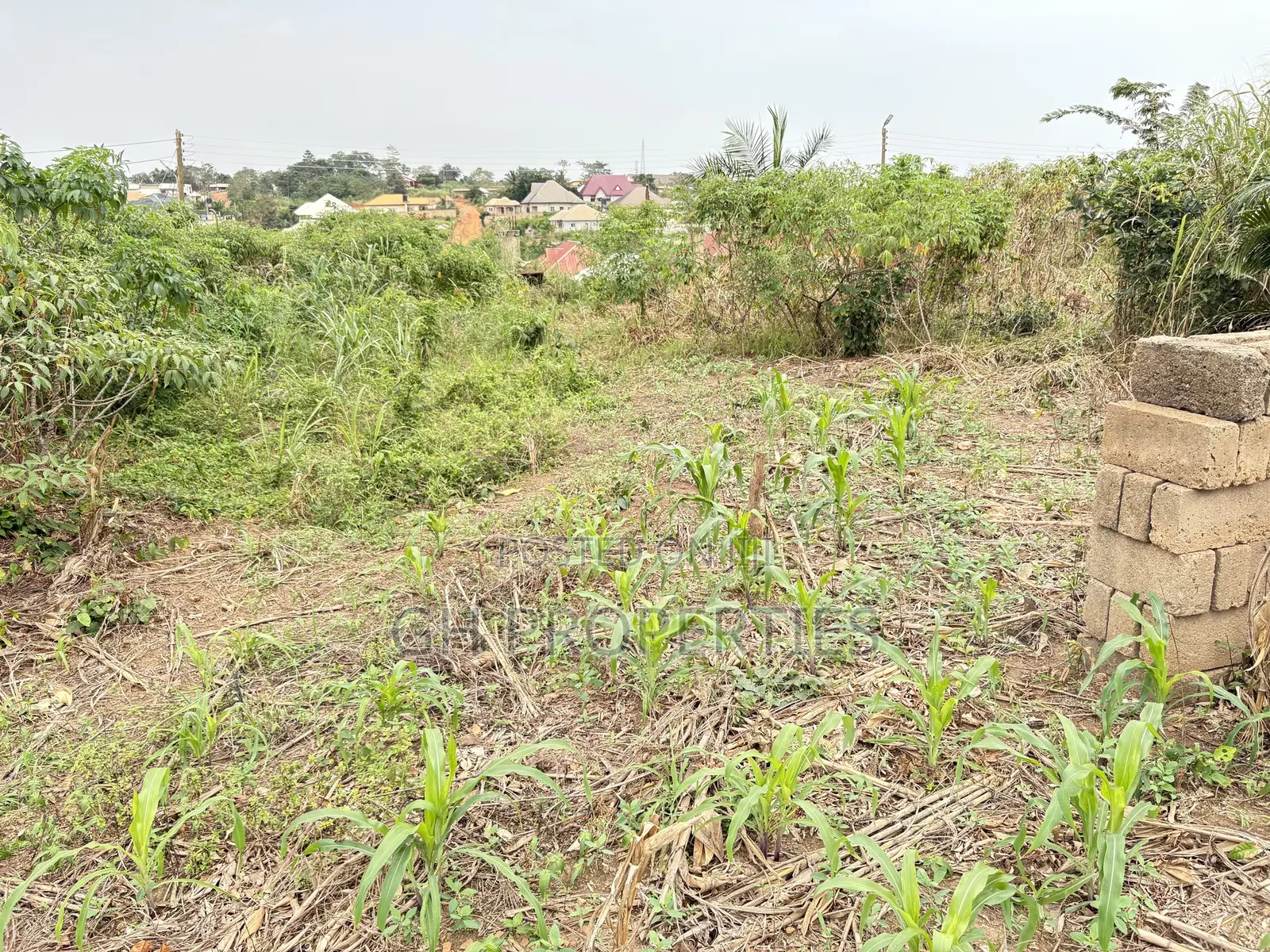 Six Plots for Sale at Sokoban Kwanwoma. in Kumasi Metropolitan
