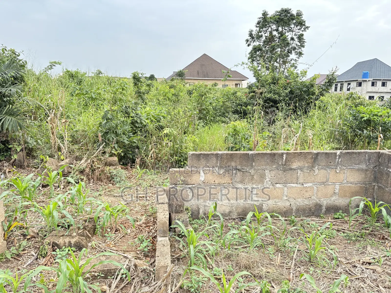 Six Plots for Sale at Sokoban Kwanwoma. in Kumasi Metropolitan