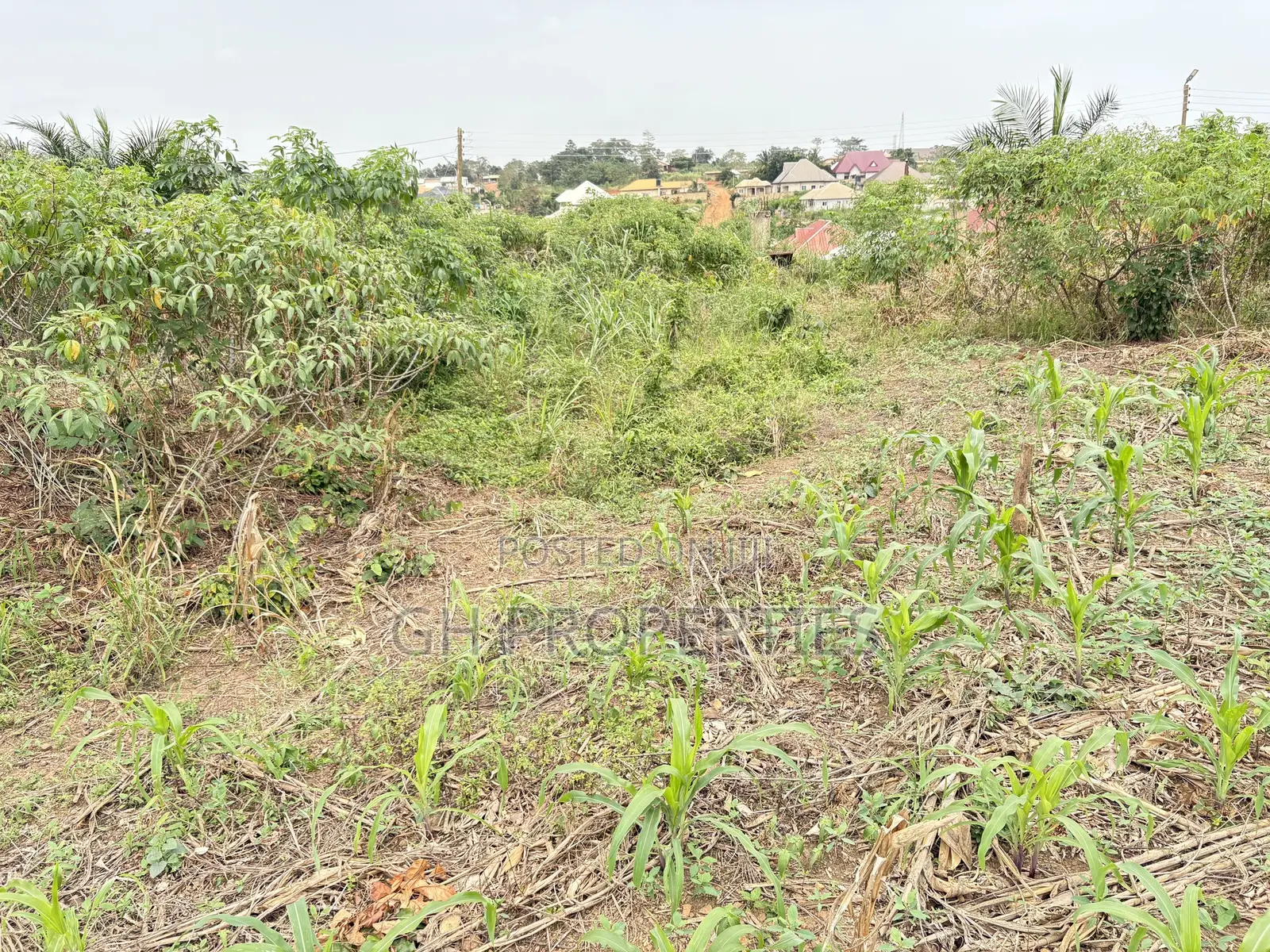 Six Plots for Sale at Sokoban Kwanwoma. in Kumasi Metropolitan