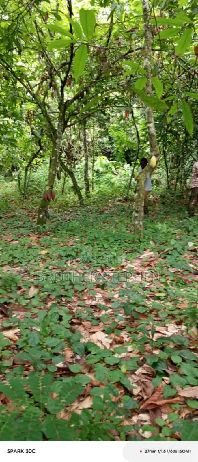 25,000 Acres Of Registered Farmland For Sale At Asamankese. in East Akim Municipal