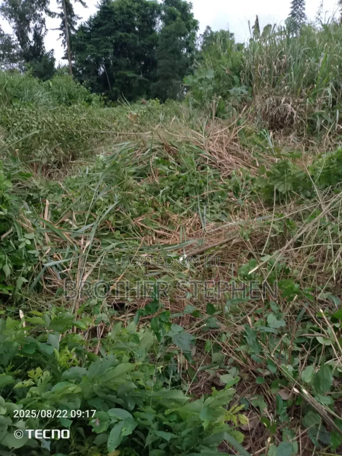 25,000 Acres Of Registered Farmland For Sale At Asamankese. in East Akim Municipal