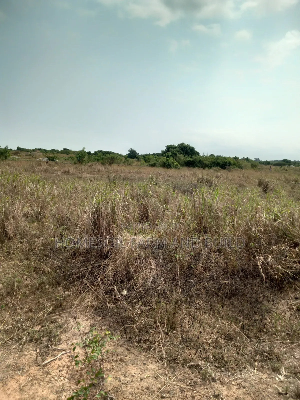 8 Plots of Beautiful, Flat Terrain Land With Wide, Open View in Gomoa East