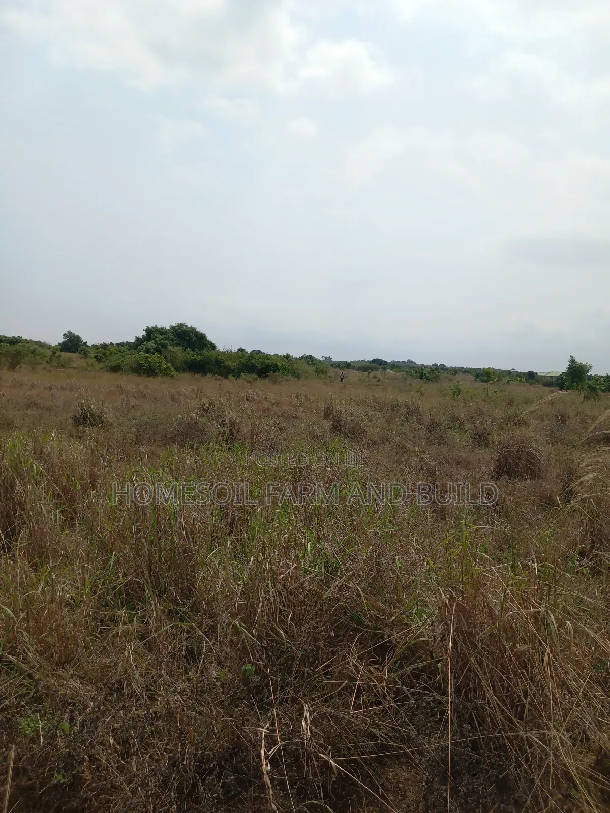 8 Plots of Beautiful, Flat Terrain Land With Wide, Open View in Gomoa East