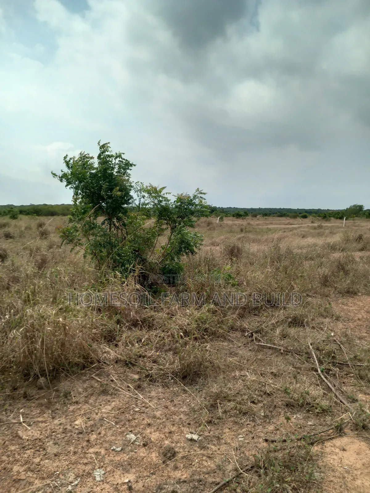 8 Plots of Beautiful, Flat Terrain Land With Wide, Open View in Gomoa East