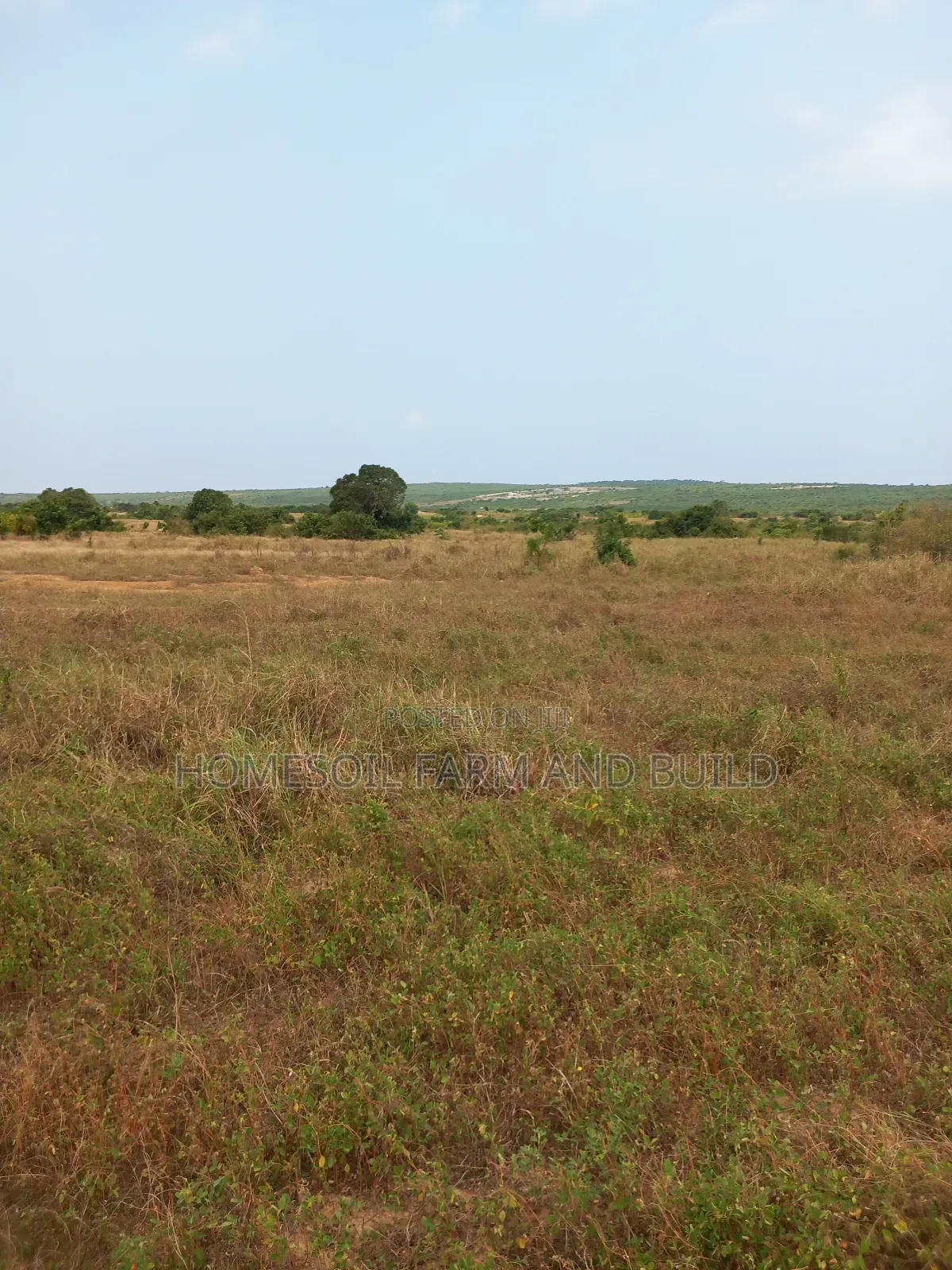 8 Plots of Beautiful, Flat Terrain Land With Wide, Open View in Gomoa East