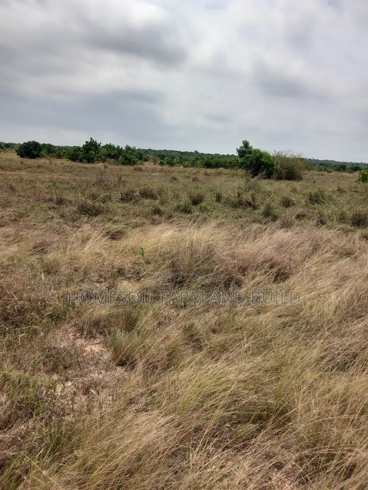 8 Plots of Beautiful, Flat Terrain Land With Wide, Open View in Gomoa East