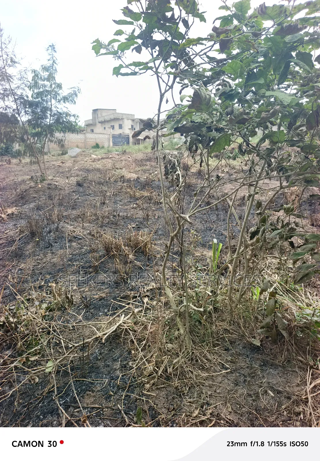 Hot Deal! Land for Sale – Abokobi Boye in Abokobi