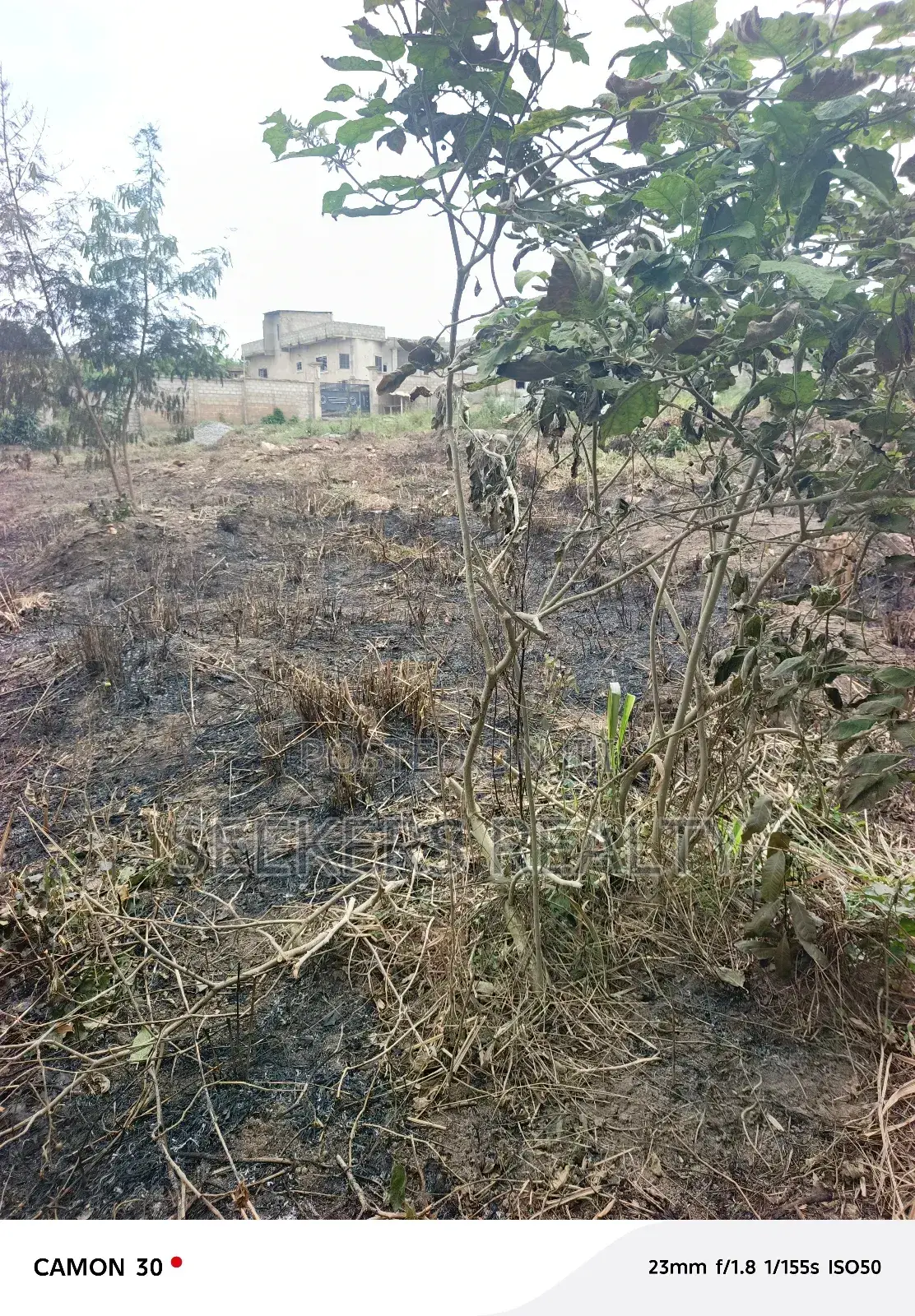 Hot Deal! Land for Sale – Abokobi Boye in Abokobi