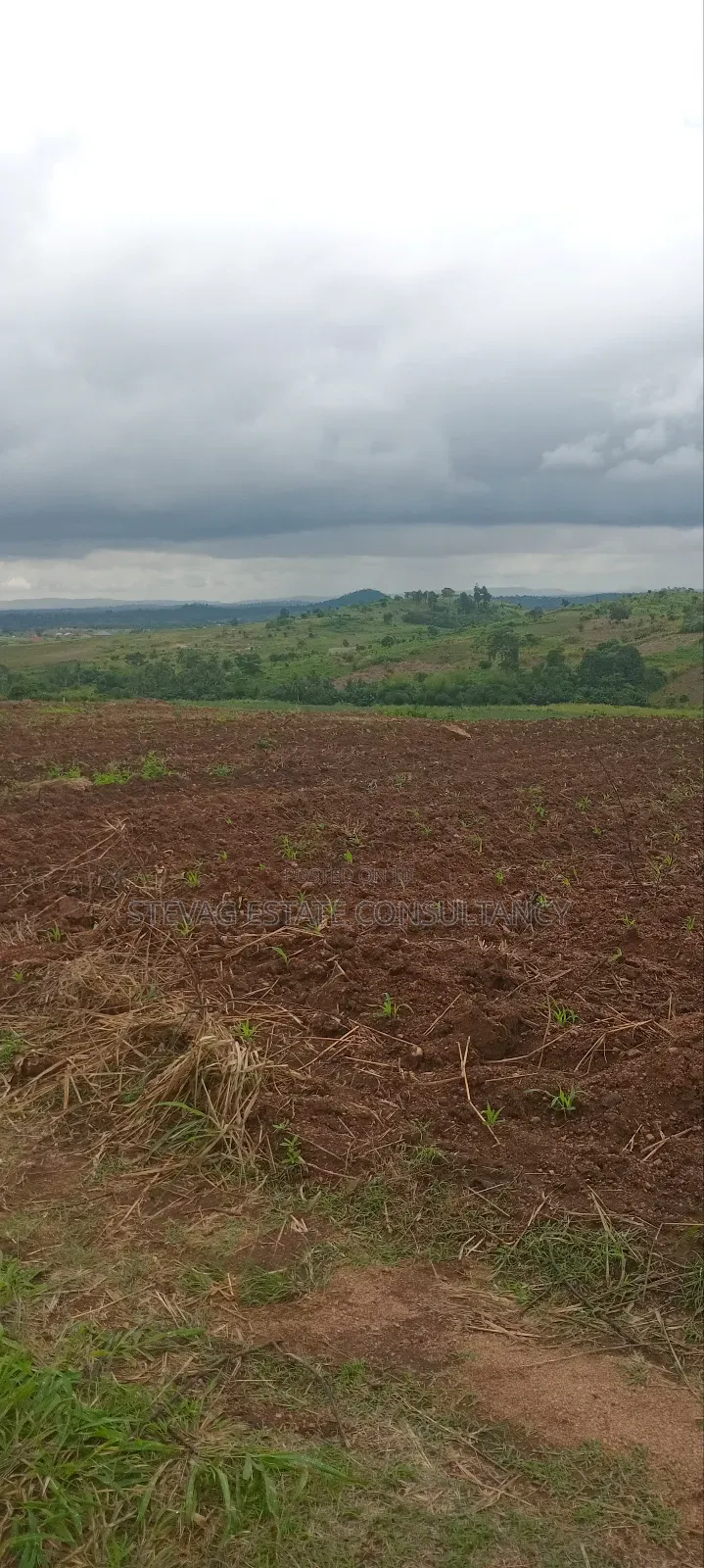 Winneba Nsuakyiri Beach Land for Sale by Alpha Estate Company LTD in Effutu Municipal