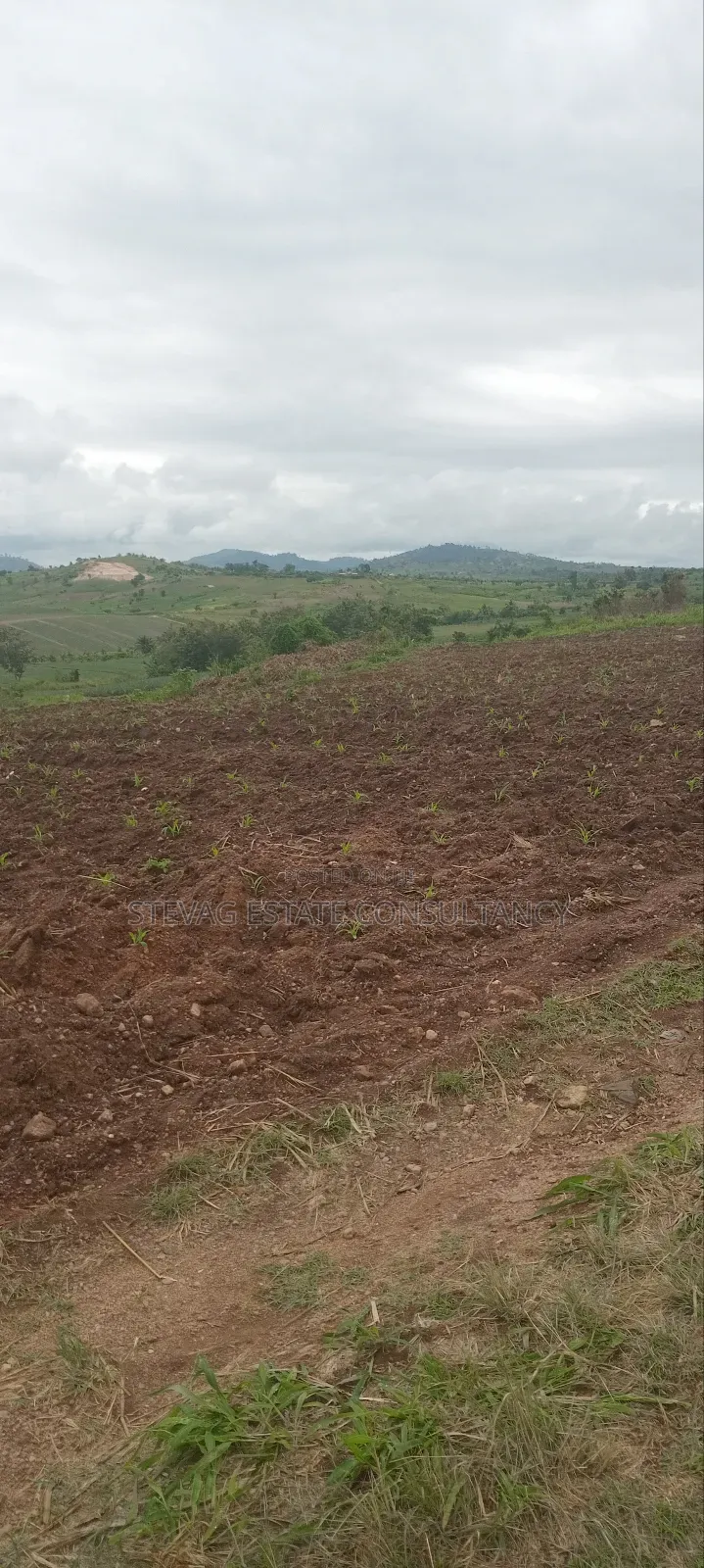 Winneba Nsuakyiri Beach Land for Sale by Alpha Estate Company LTD in Effutu Municipal