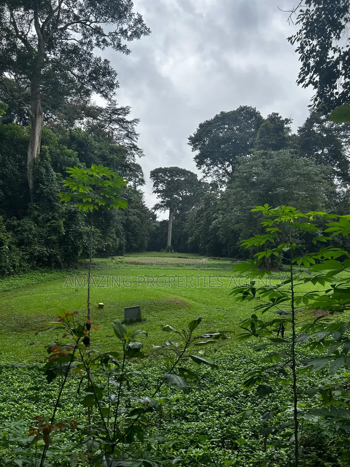 Joint Venture Land Available For Sale At Ridge in Ridge