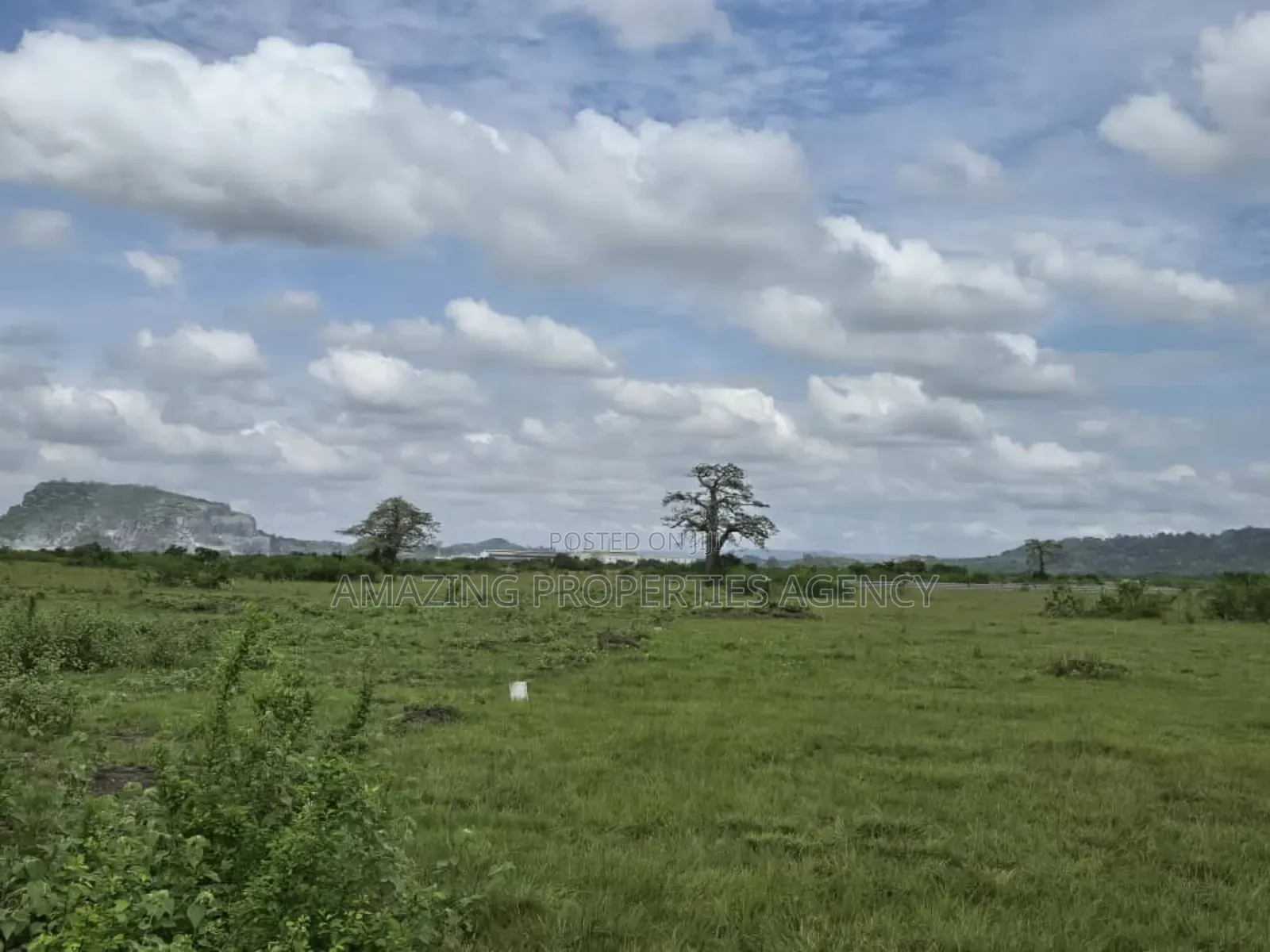 Vast Acres of Land at Shai Hills in Tema Metropolitan