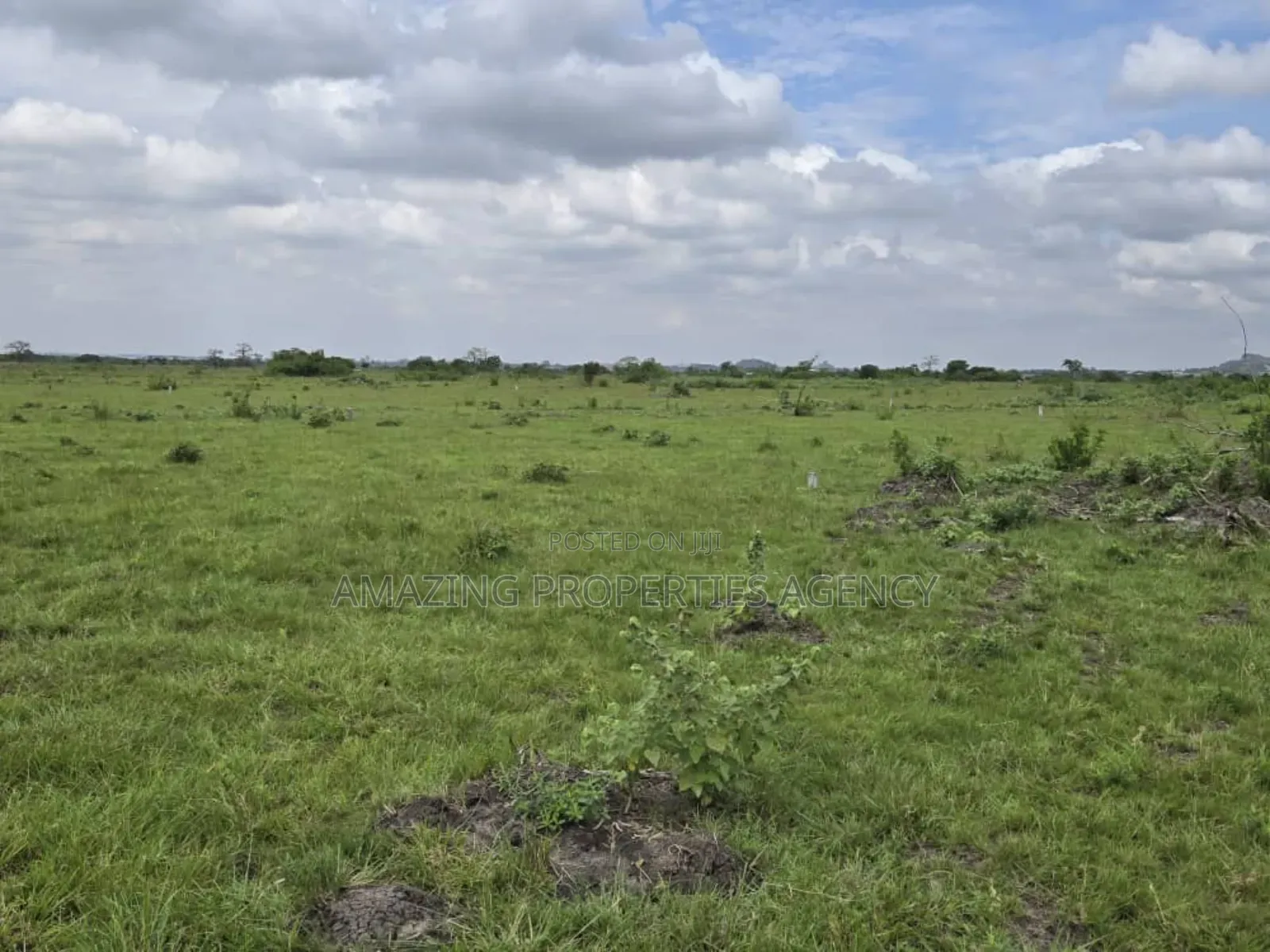Vast Acres of Land at Shai Hills in Tema Metropolitan